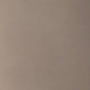 Meet your Posher, Dumpling